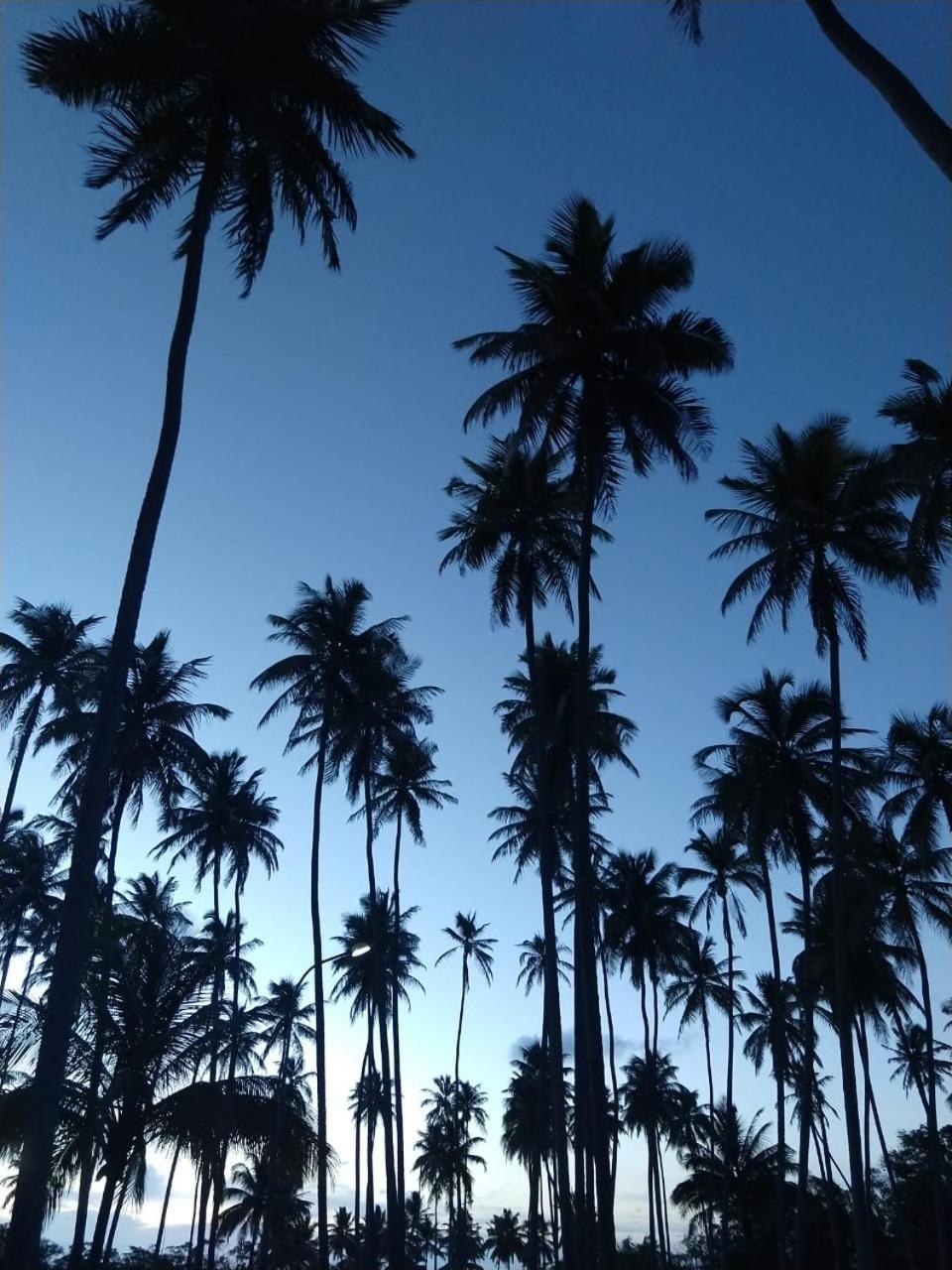 Hotel D'Anatureza Maceió المظهر الخارجي الصورة